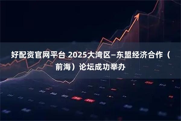 好配资官网平台 2025大湾区—东盟经济合作（前海）论坛成功举办
